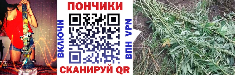 Шишки марихуана индика  Егорьевск 